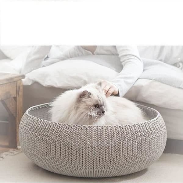 Curver "Cozy" Pet Bed 50 x 22 cm Kräm