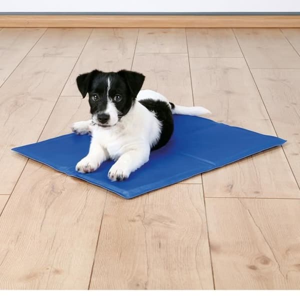 Kylmadrass för hund - TRIXIE - 50 × 40 cm - Blå