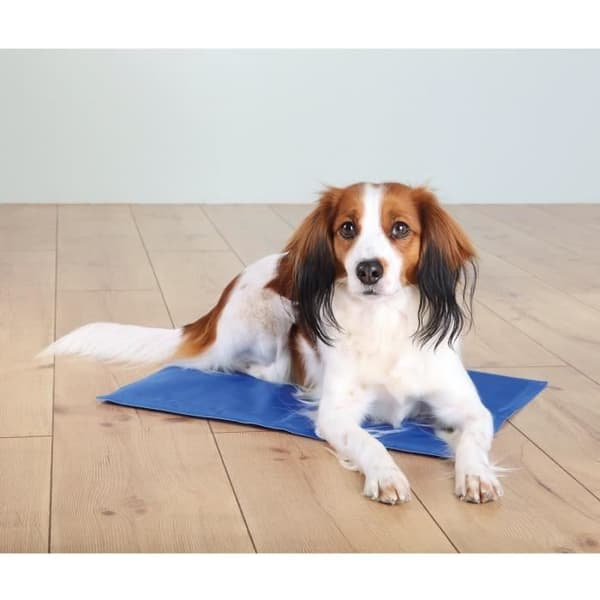 Kylmadrass för hund - TRIXIE - 50 × 40 cm - Blå