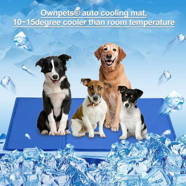 Papperskorgen - korg - kudde - hängmatta - Ownpets säng