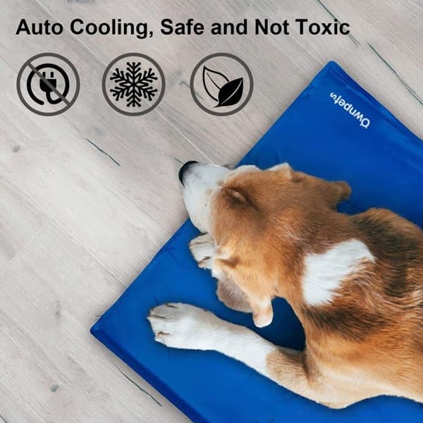 Papperskorgen - korg - kudde - hängmatta - Ownpets säng