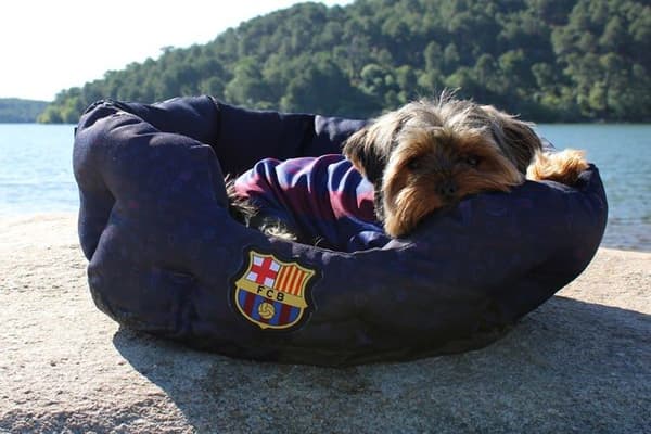 Korg - korg - kudde - hängmatta - säng Cyp-märken - BE-01M-BC - FC Barcelona Pet Bed Storlek M