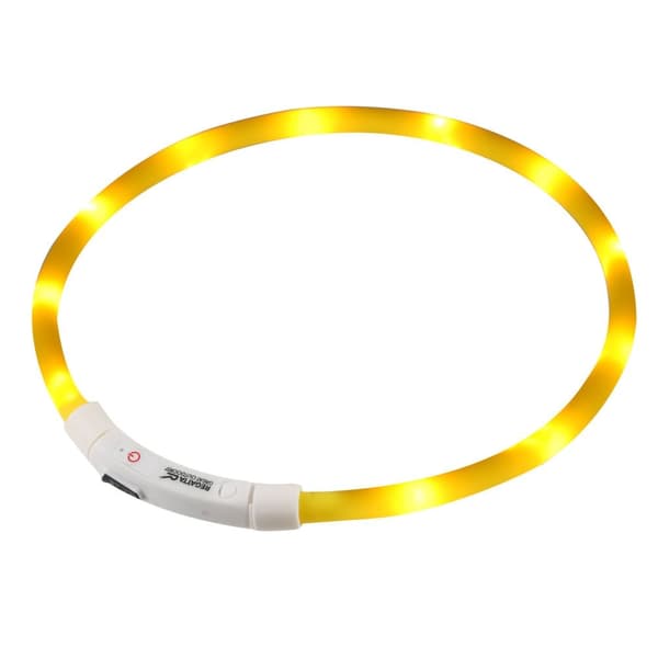 Regatta LED-hundehalsbånd