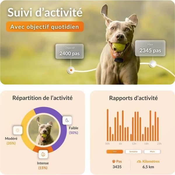 GPS-seurantalaite koirille - Weenect XS (musta versio 2023)