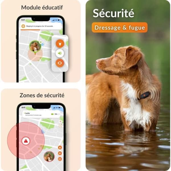 GPS-seurantalaite koirille - Weenect XS (musta versio 2023)