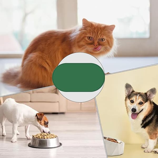 Lemmikkimatto, vedenpitävä ja liukumaton matto - silikoni