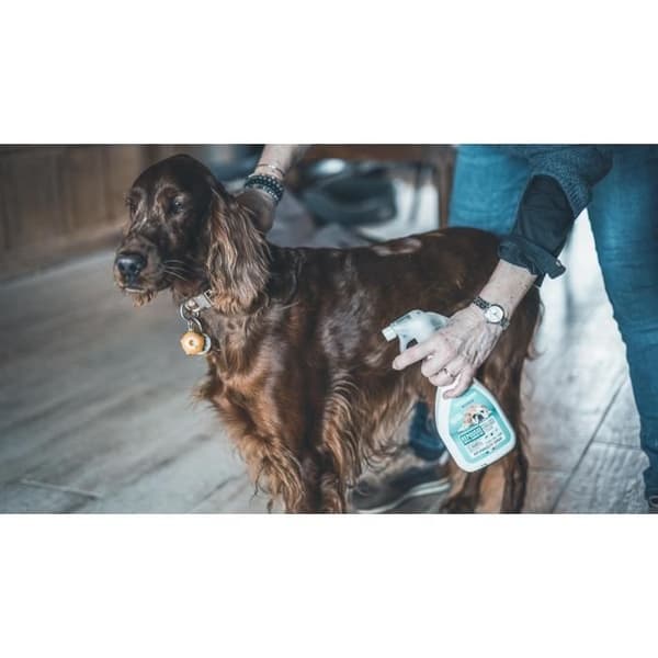 VETOCANIS Lopp-, flått- och myggavvisande spray - För hundar - 500 ml