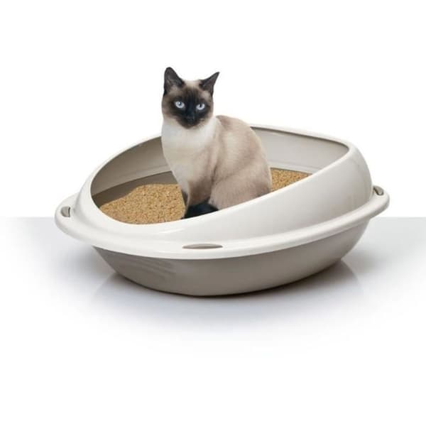 AIME Oval kull med löstagbar fälg - 57 x 40 x 19 cm - För katter