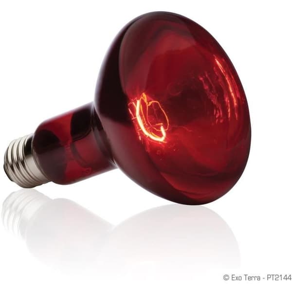 EXO TERRA Baskin Spot infraröd lampa - 100 W - För terrarium