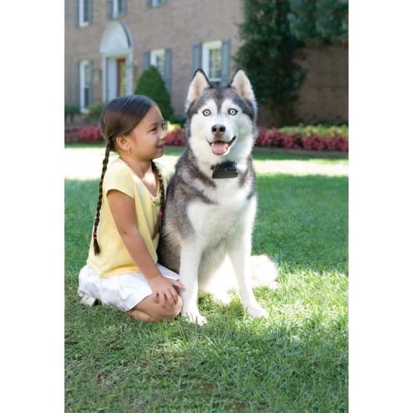 Hundstaket Super Radio Fence Prf-3004xw-20