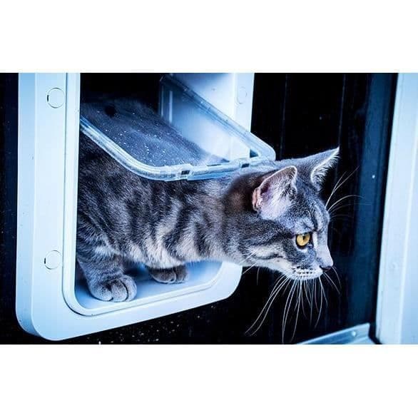 SUREFLAP Stor vit elektronisk kattklaff
