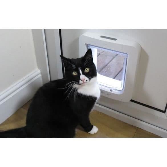 SUREFLAP Stor vit elektronisk kattklaff
