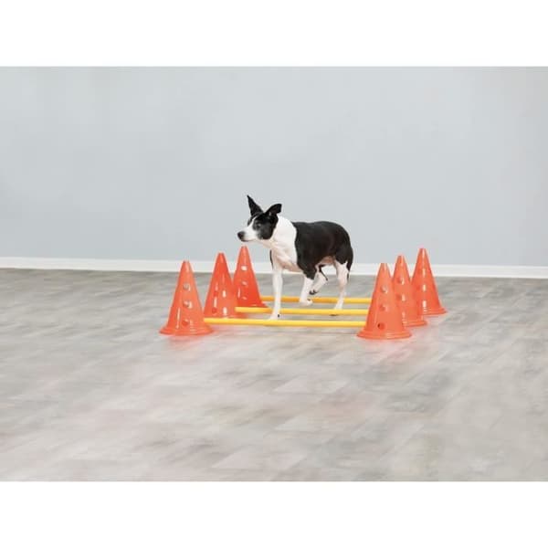 TRIXIE Mycket av 3 hinderaktiviteter - Ø 23 × 30 cm - 78 cm - Orange och gul - För hundar