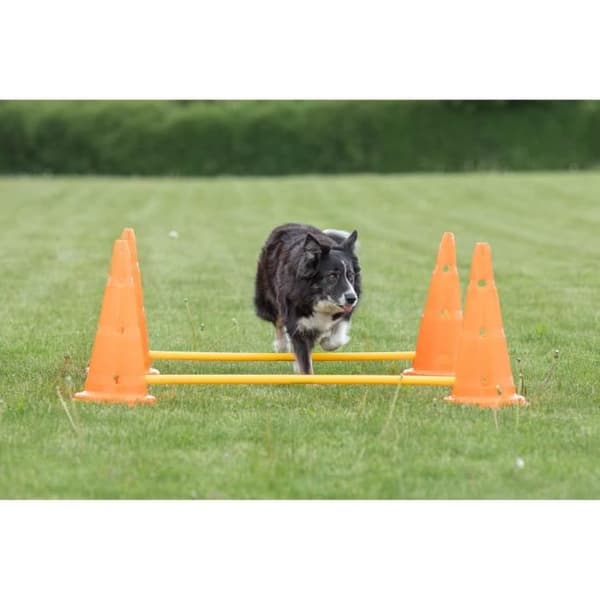 TRIXIE Mycket av 3 hinderaktiviteter - Ø 23 × 30 cm - 78 cm - Orange och gul - För hundar
