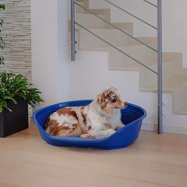 Siesta Deluxe plastkorg storlek 8 svart