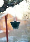 Miniatyrbillede 2 af 2: Fågelmatare 4 L Birdie
