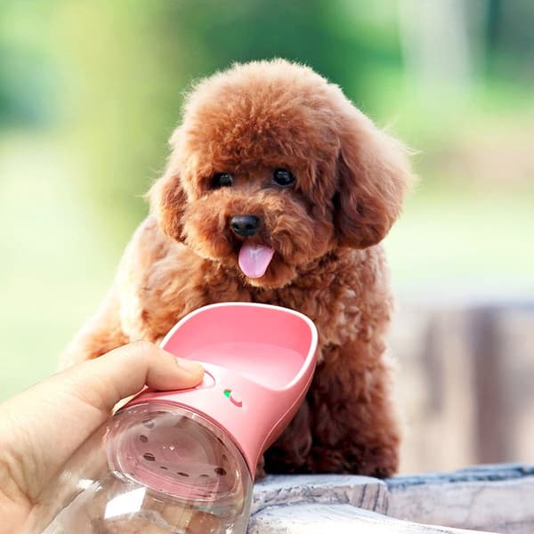 Vannflaske til Hund / Hundeflaske 350ml - Flere farger