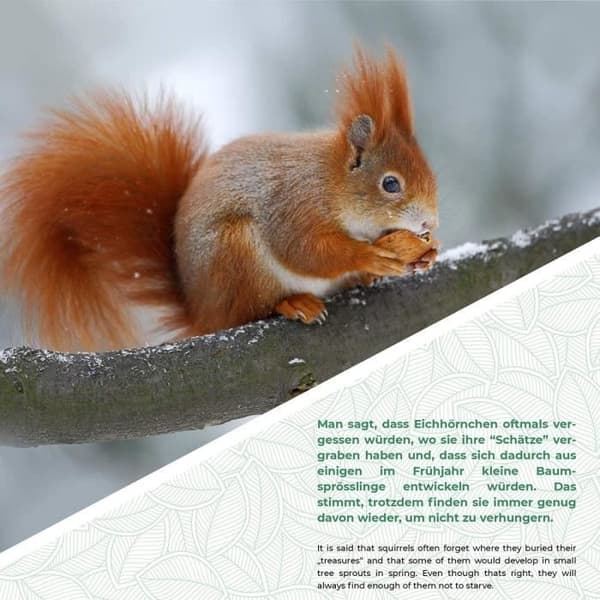 Squirrel Mat - Gorges - Med Metal Tak - Tall av Gren - Väderbeständig - Utomhus