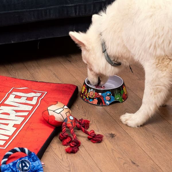 Koiran ruoka-annostelija Marvel 760 ml Melamiini Punainen Metalli