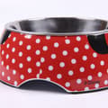 Miniatyrbillede 6 af 7: Hund Feeder Minnie Mouse 760 ml Melamin Metal Multifarvet