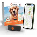 Pikkukuva 1 / 6: GPS Tracker for Dogs - Weenect XS (Black Edition 2023)