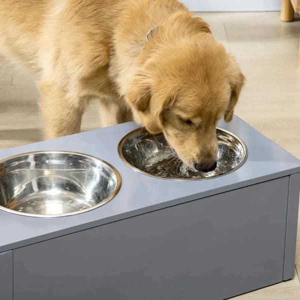 Rootz Foderstation - Forhøjet foderstation - 2 foderskåle hver 2 liter - Rustfrit stål - Med skuffe - Til mellemstore hunde - Grå - 60 x 30 x 24 cm