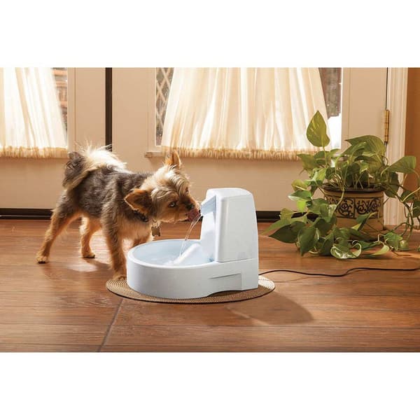 Petsafe Automatisk Drikke Drinkwell 1,5 L Hvid