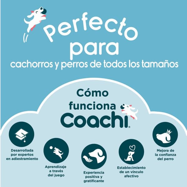 Pussukka Coachi Train & Treat Sininen