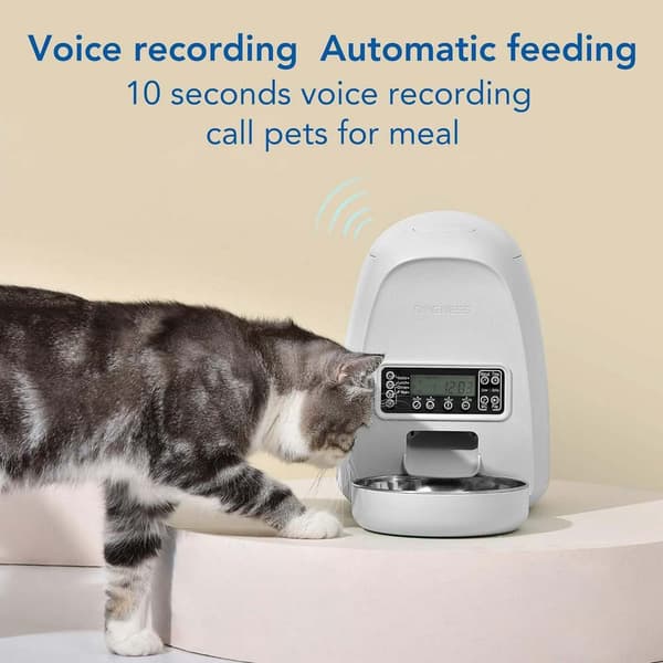 Sbs Smart Feeder Mini F06 Wifi