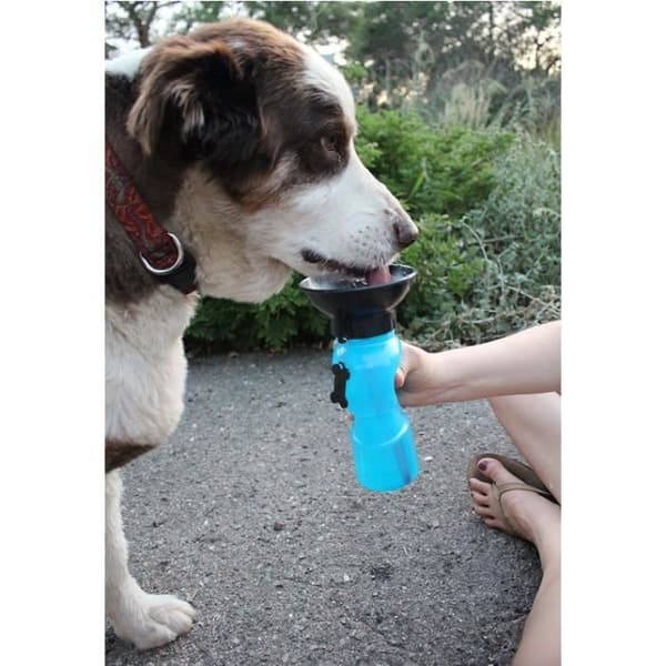 Vattenskål - Aqua Dog - Auto Pup Cup - 18-20 oz - Plast - Cylindrisk