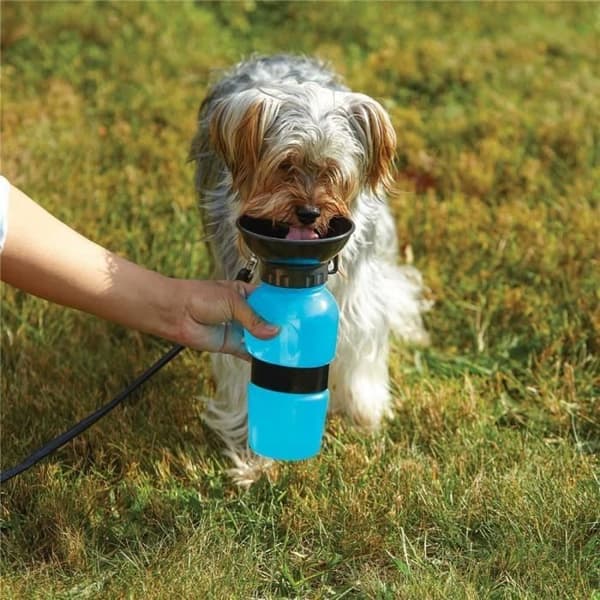 Hundvattenflaska - Dlife - Portable Travel - 18 ounce - BPA-fri plast - Unisex