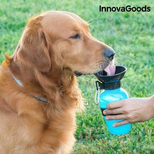 InnovaGoods dricksflaska för hundar