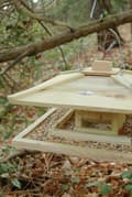 Miniatyrbild 3 av 3: Tokyo matare - Fågel - Typisk japansk estetik - Beige