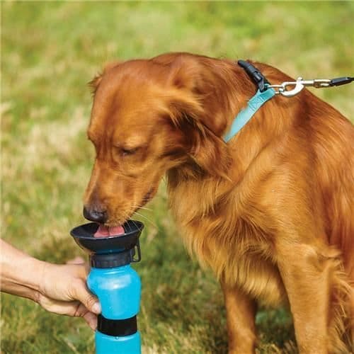 Auto Sport Hund Sport Flaska Utomhus gratis nappflaska