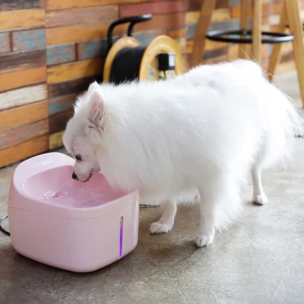 Sbs Smart Feeder F02 6l