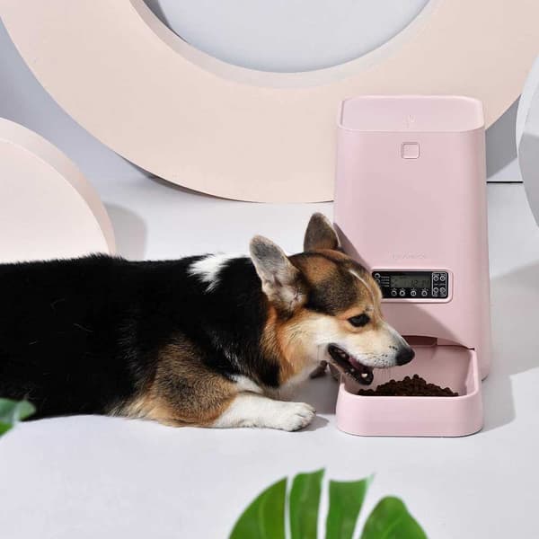 Sbs Smart Feeder F02 6l