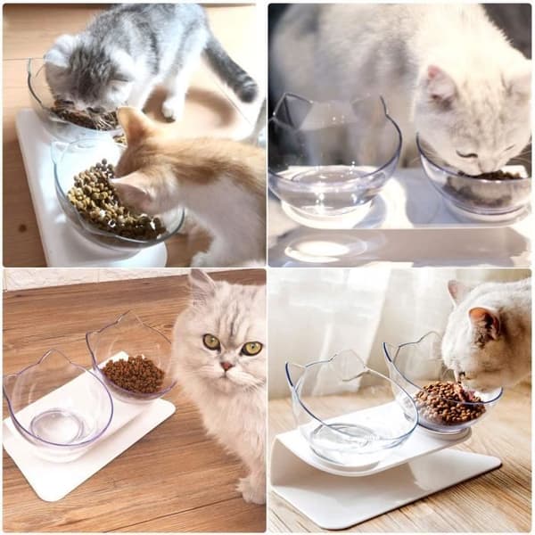 Dubbel husdjursmatskål med upphöjt stativ för katter och små hundar