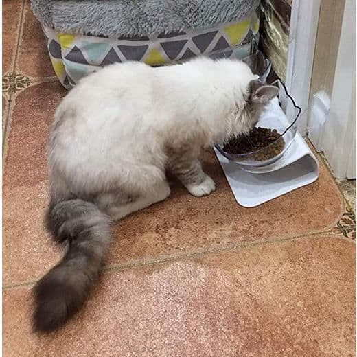 Dubbel kattskål, halkfri matskål med plasthållare för katter och små hundar