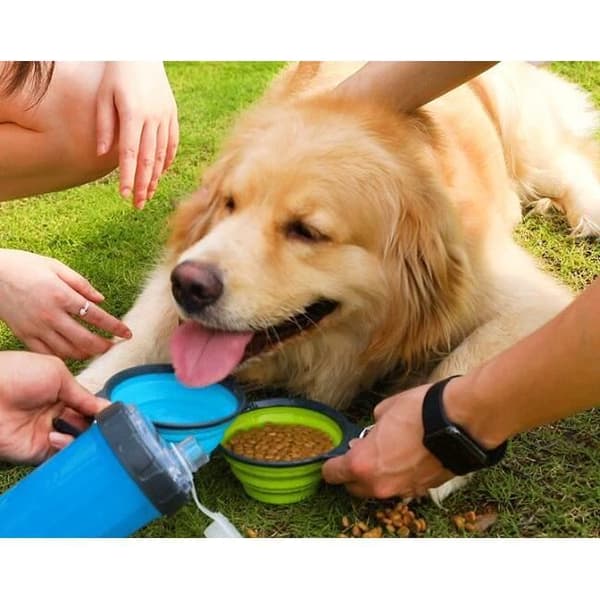 Bärbar vattendispenser - Hund - 2 i 1 - Fällbar skål - Blå - PP och silikon