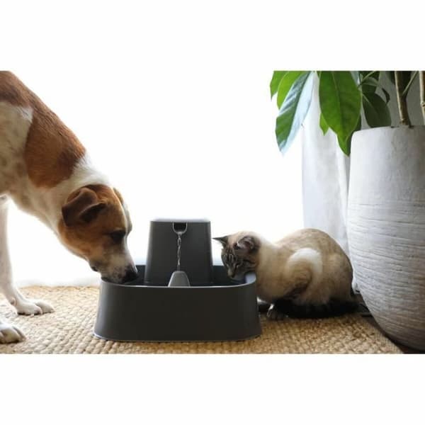 Fontän för husdjur PetSafe 7,5 L