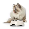 Miniatyrbillede 6 af 9: Hund Feeder Hunter Melamin Rustfrit stål Hvid 160 ml (14,5 x 14,5 x 7 cm)