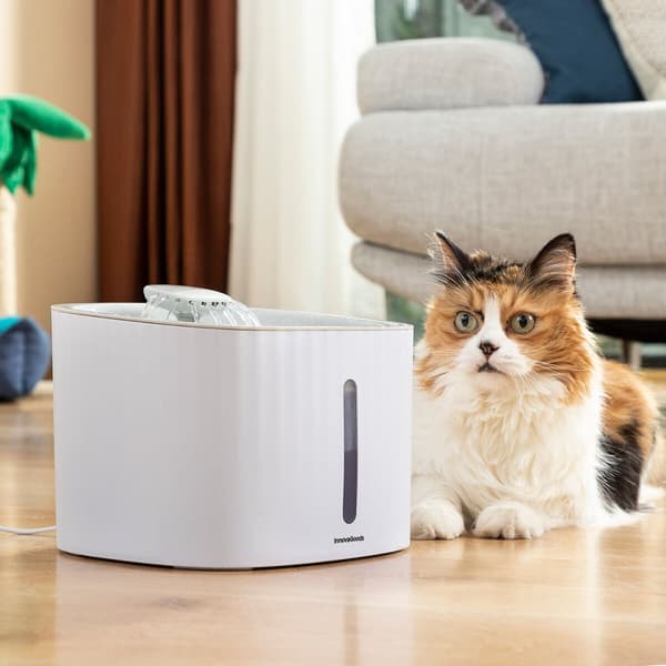 Lemmikin Juomalähde Drinkatt InnovaGoods