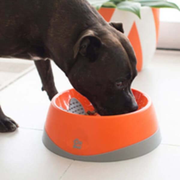 Hundmatare Lickimat Oh Bowl Orange