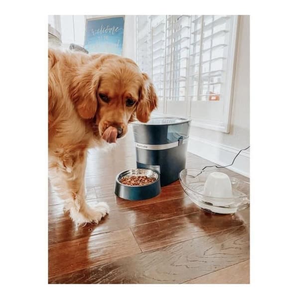 Automatisk feeder PetSafe Sort Rustfrit stål