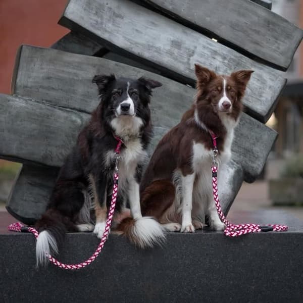 TRIXIE Cavo justerbart koppel - LXL: 2m - ø 18 mm - Svart