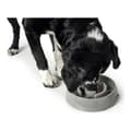 Miniatyrbillede 3 af 5: Hund Feeder Hunter Melamin 900 ml