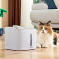 Miniatyrbillede 7 af 11: Drikkevandsfontæne til kæledyr Drinkatt InnovaGoods