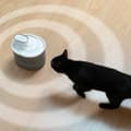 Miniatyrbillede 3 af 11: Genopladelig drikkefontæne til katte med sensor Refopet InnovaGoods