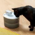 Miniatyrbillede 4 af 11: Genopladelig drikkefontæne til katte med sensor Refopet InnovaGoods