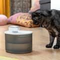 Miniatyrbillede 1 af 11: Genopladelig drikkefontæne til katte med sensor Refopet InnovaGoods